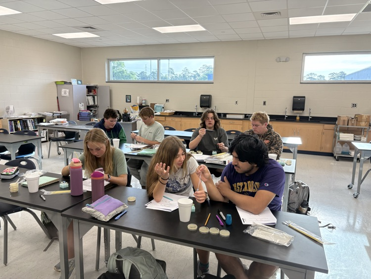 ap bio lab