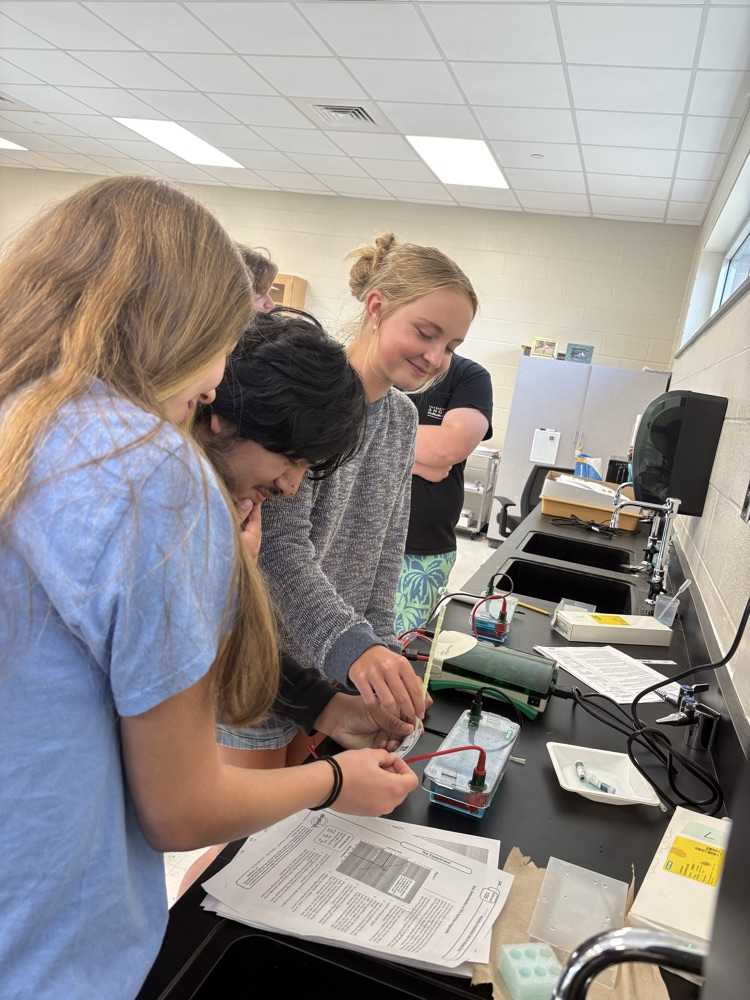 ap bio lab