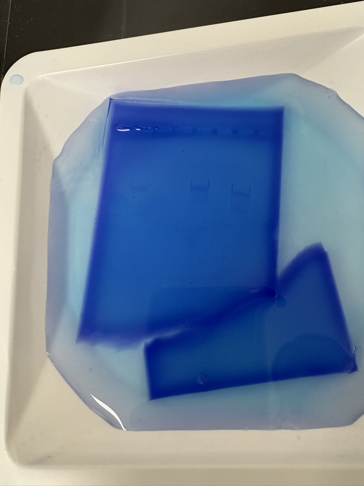 ap bio lab