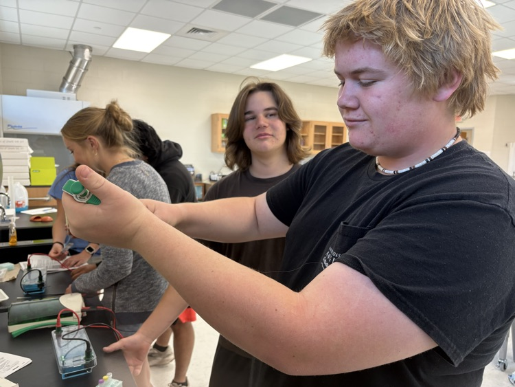 ap bio lab