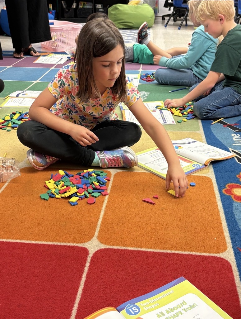 SES Math manipulatives