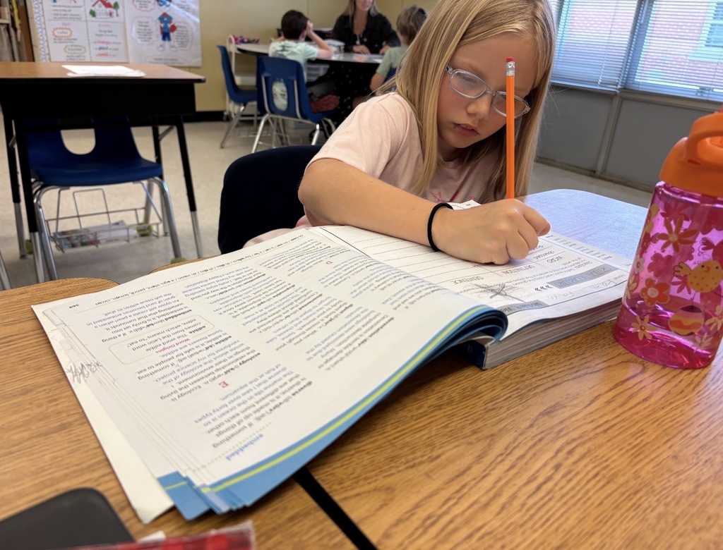 SES workbook student