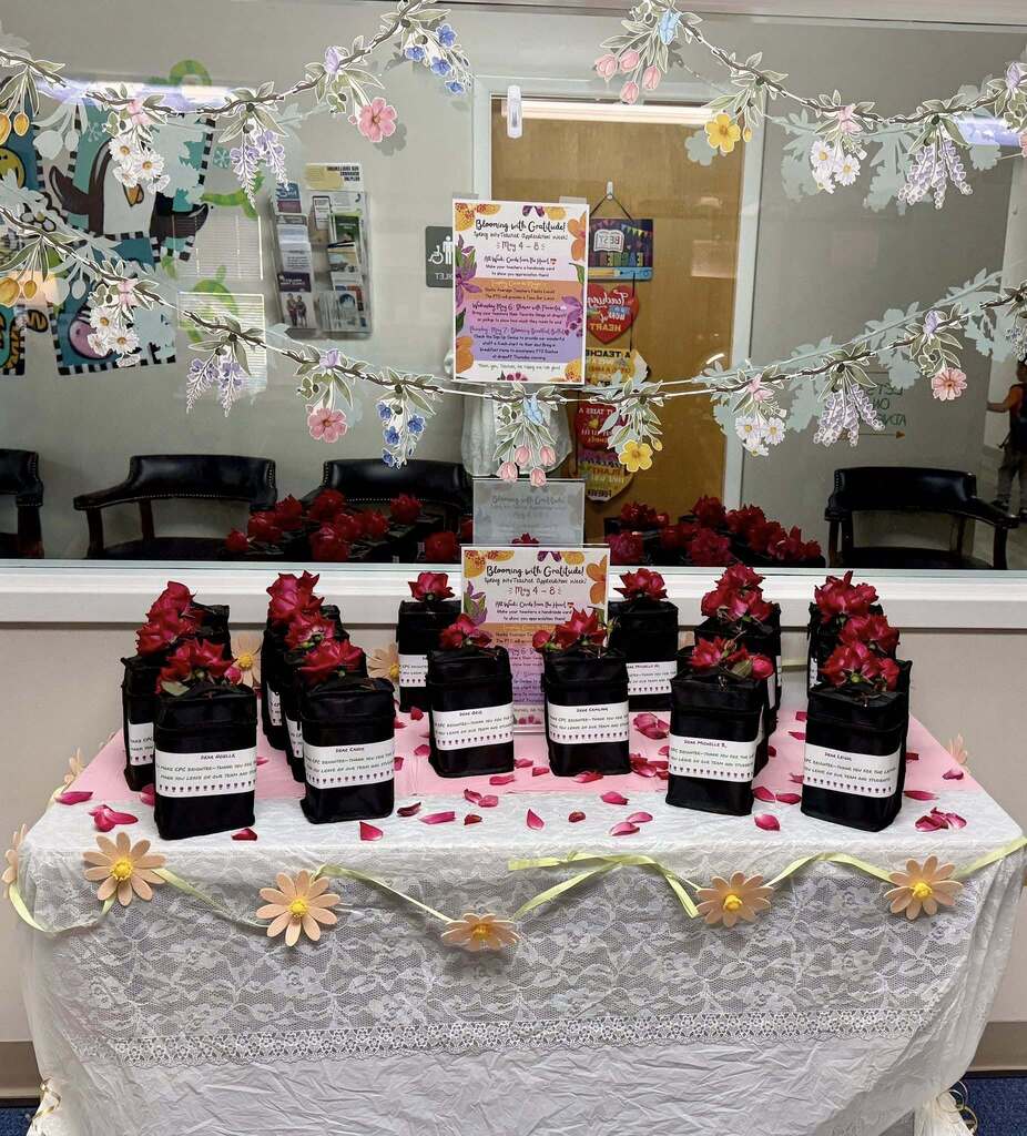 Teacher Appreciation gifts 
