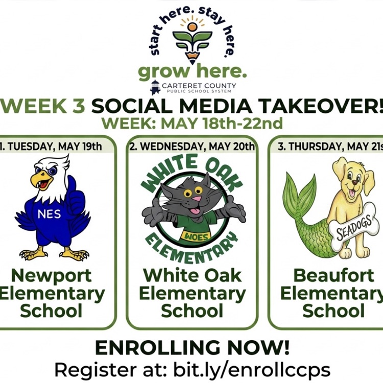 social media takeover
