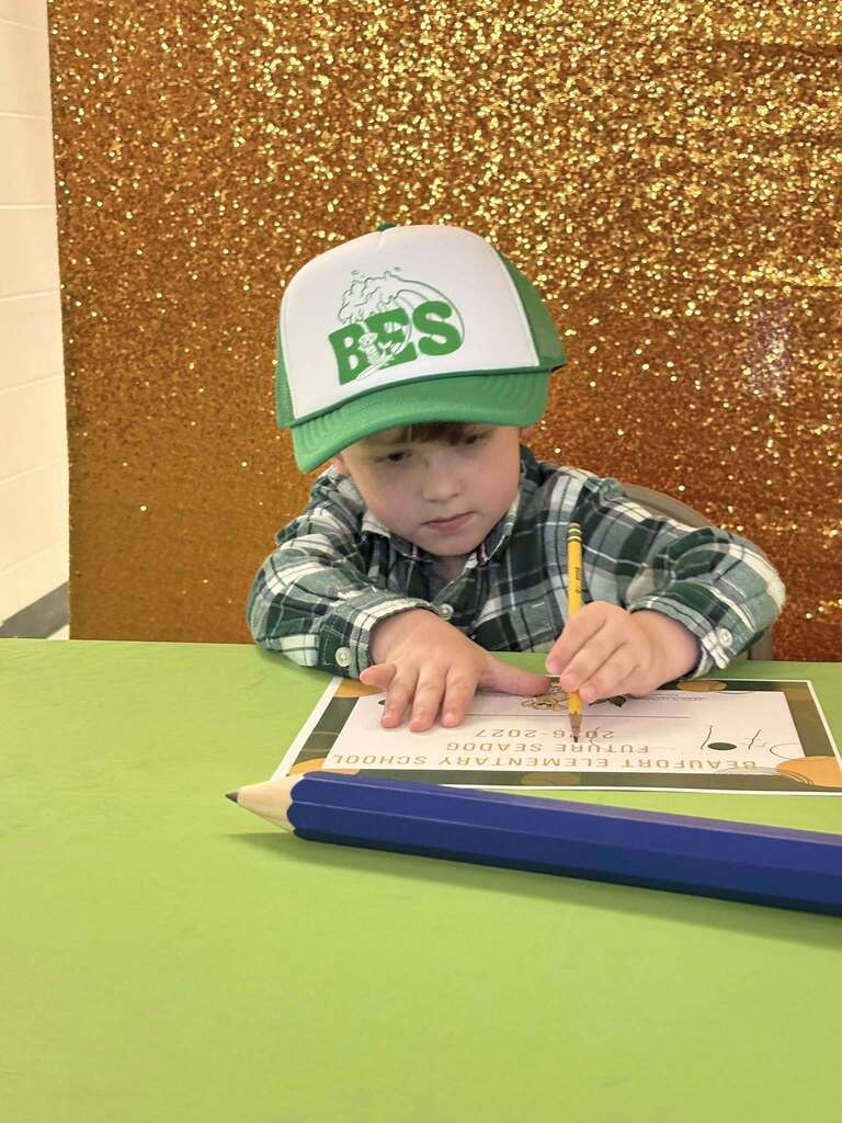 BES takeover