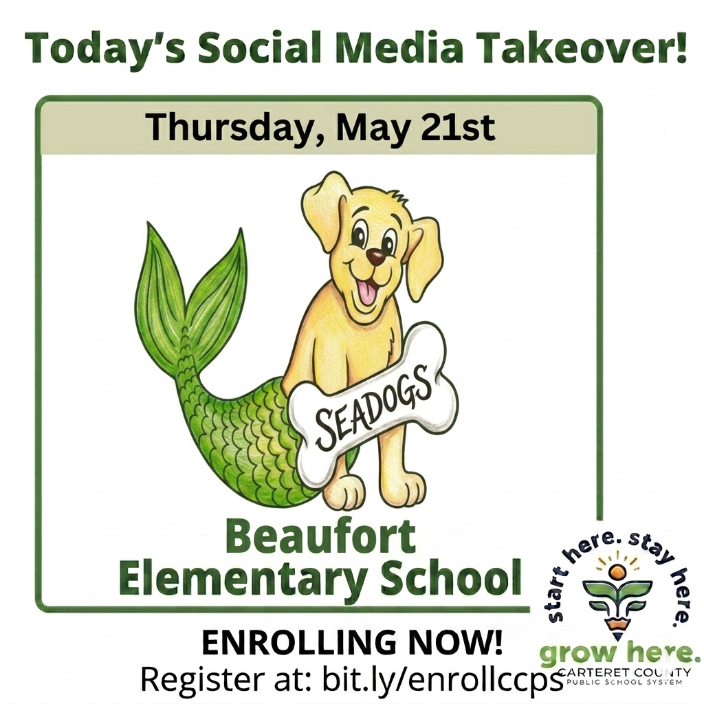 BES takeover