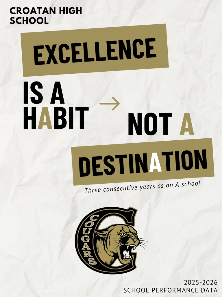 Excellence is a Habit