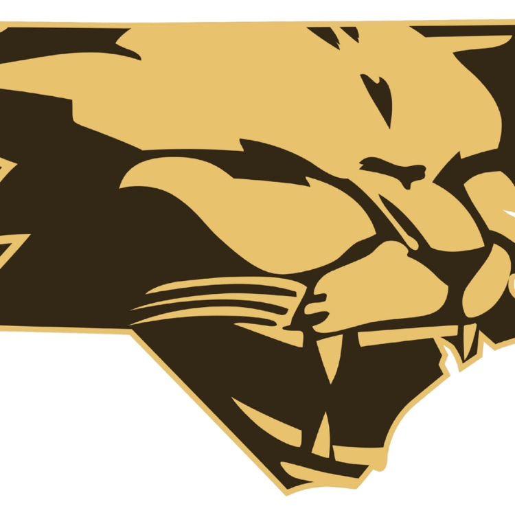 CHS logo