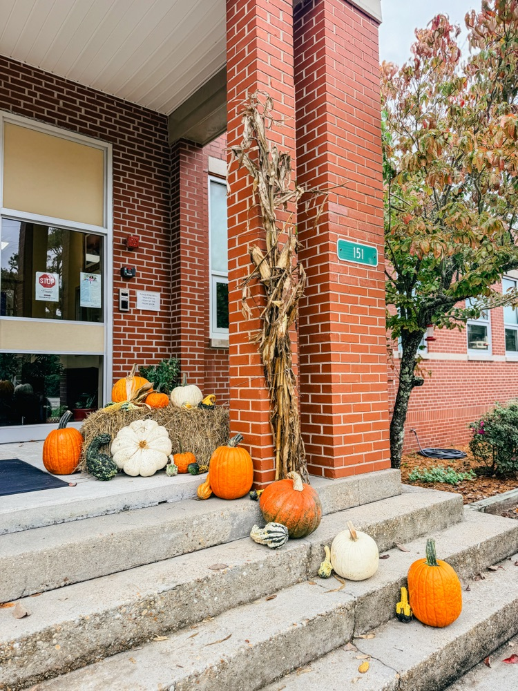 porch gourds
