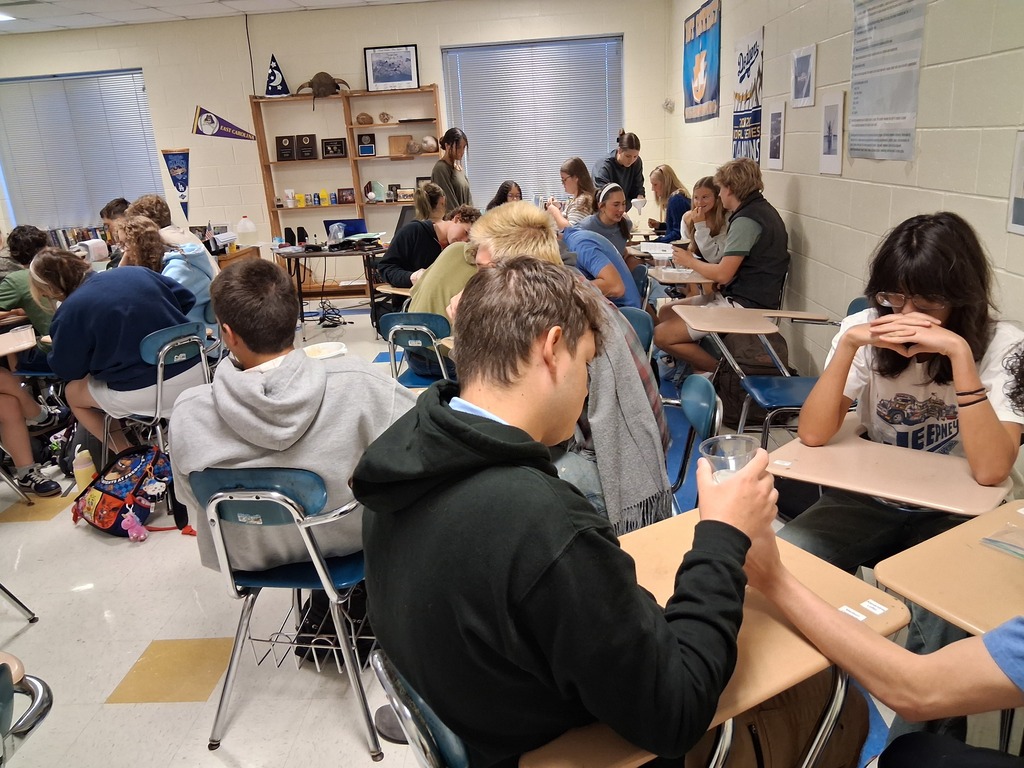 Other groups working on the project