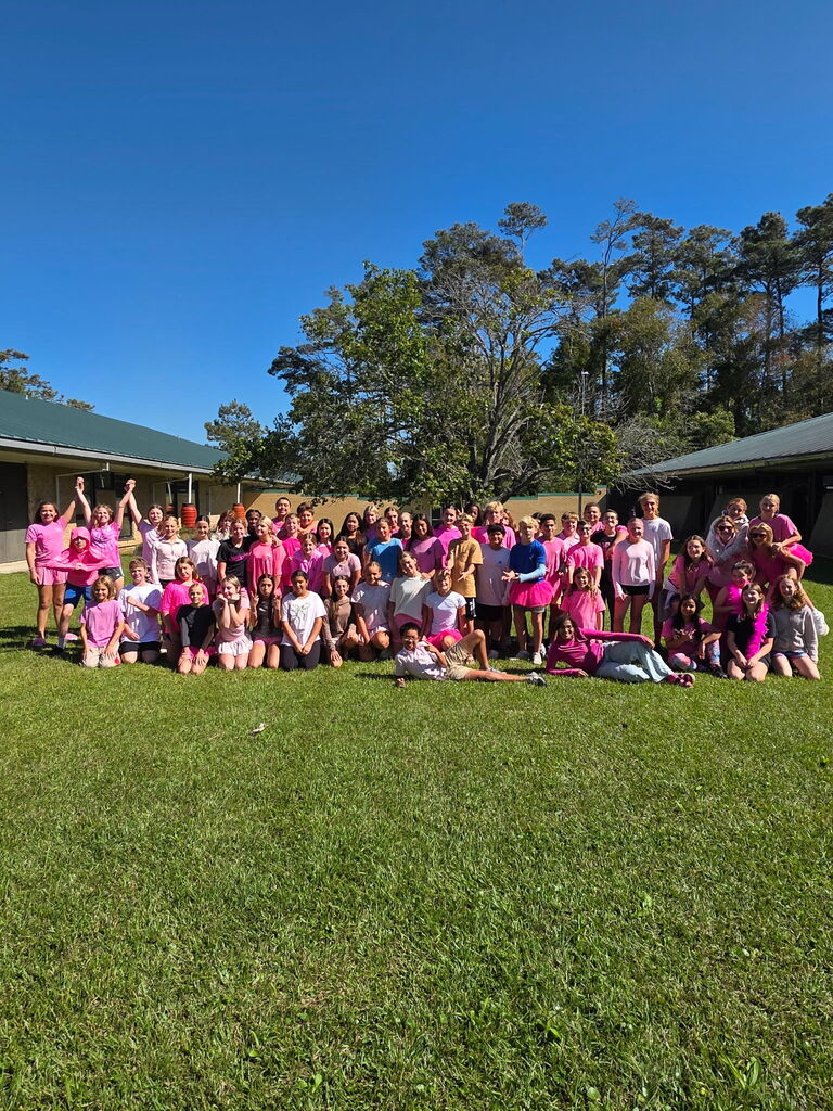 Large group of students in pink
