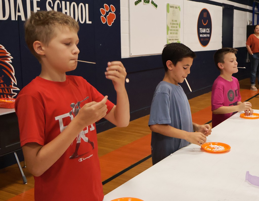 PBIS 3