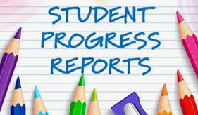Progress Reports