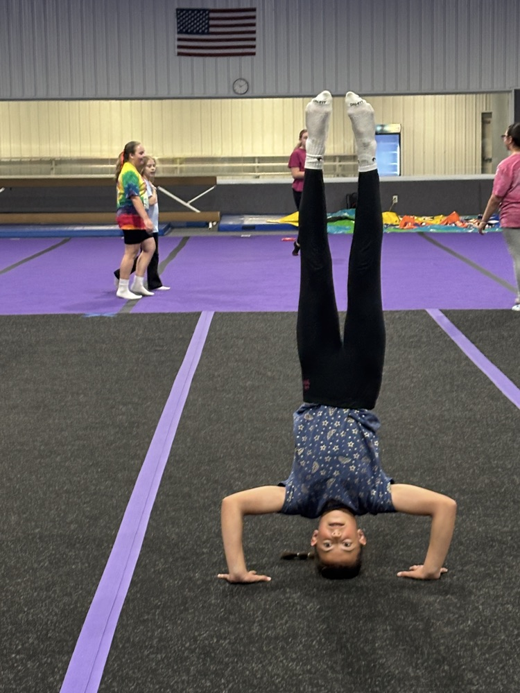 gymnastics 