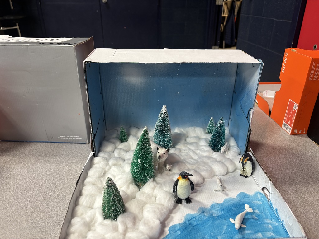 Biome Project 3