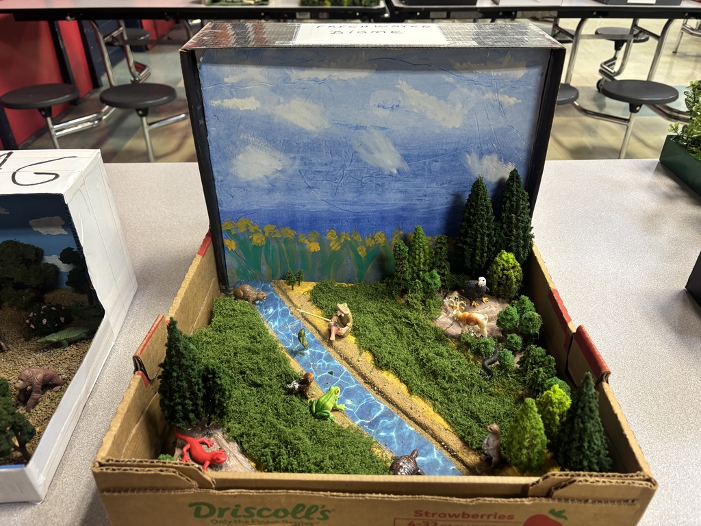 Biome Project 2