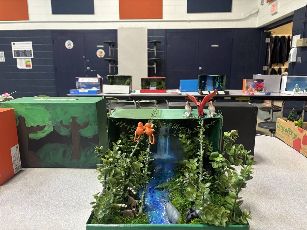 Biome Project