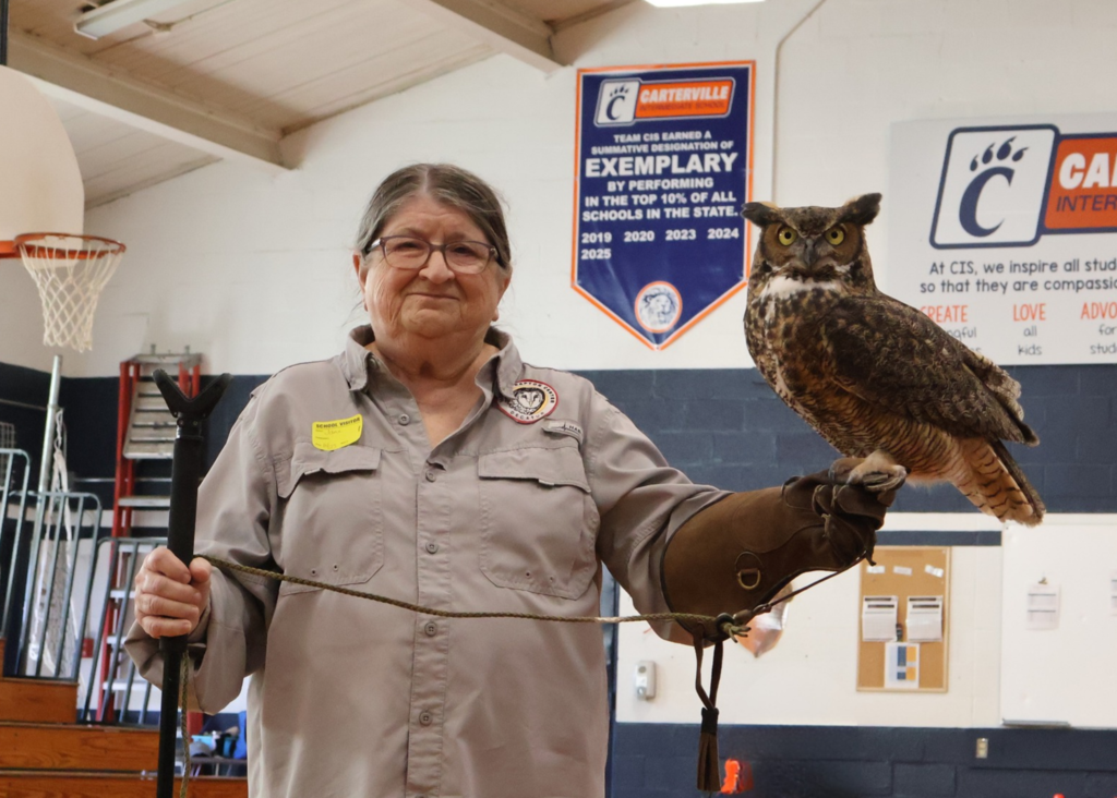 Owl