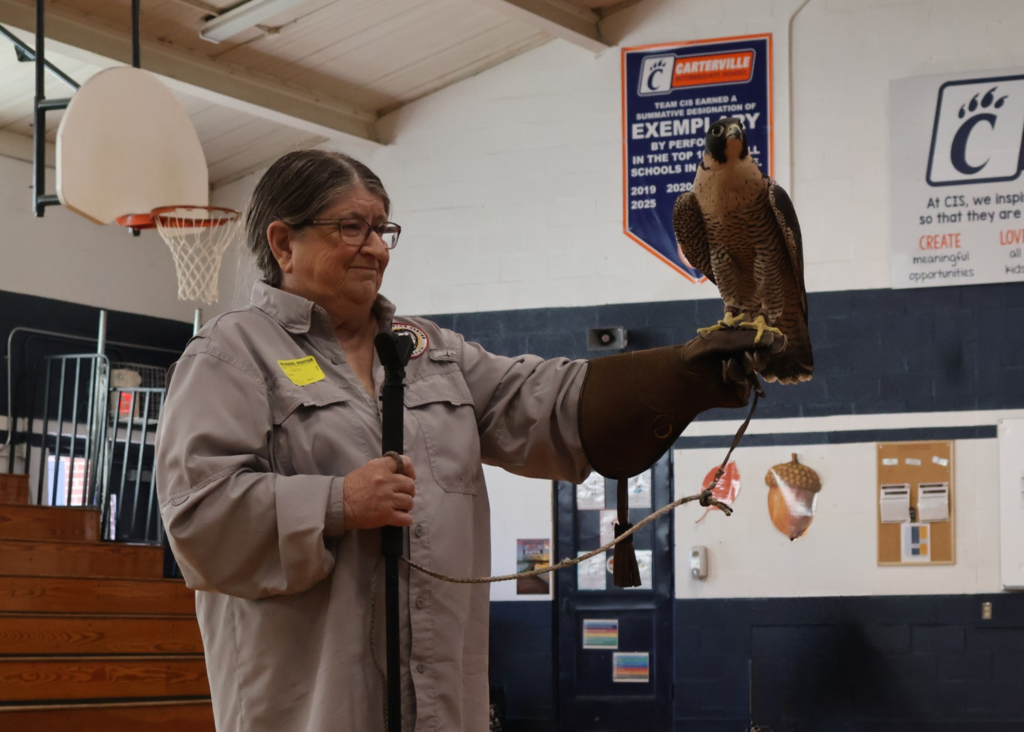 Hawk