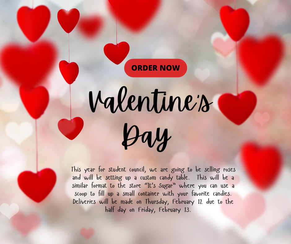 Student Council Vday fundraiser