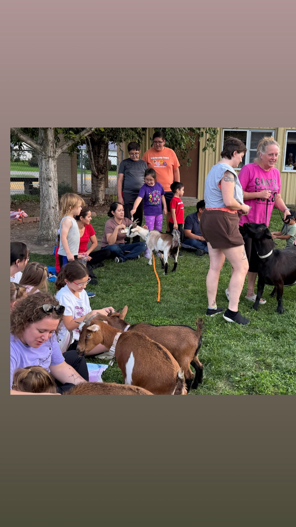 goat yoga 3