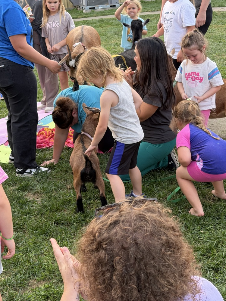 goat yoga 5