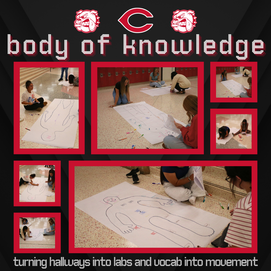 infographic