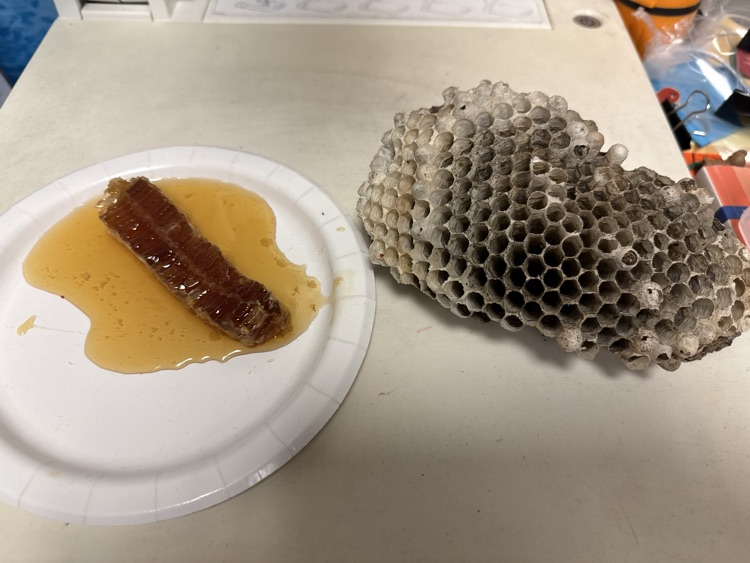 Honey Tasting
