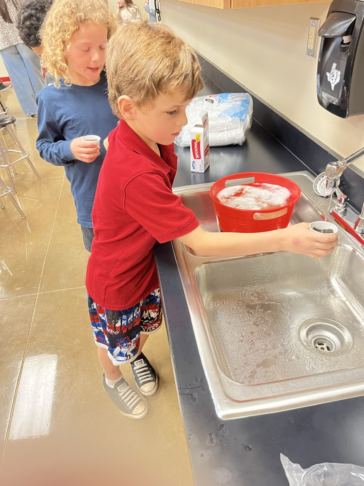 Planting beans in the science lab!
