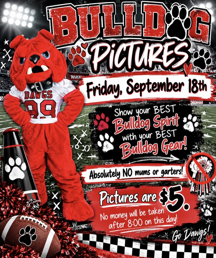 bulldog pictures for homecoming 