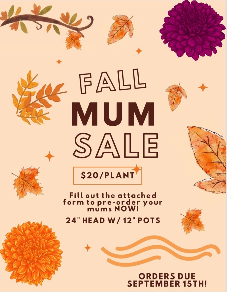 mums
