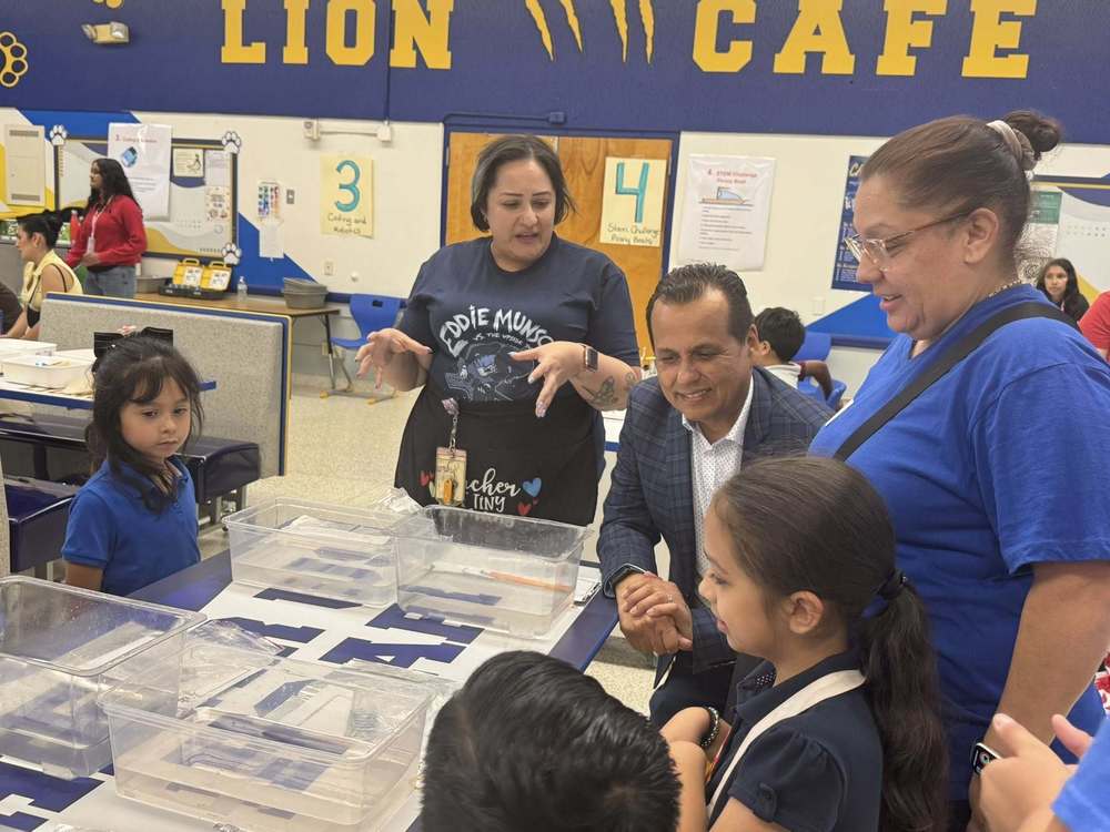 science fair 