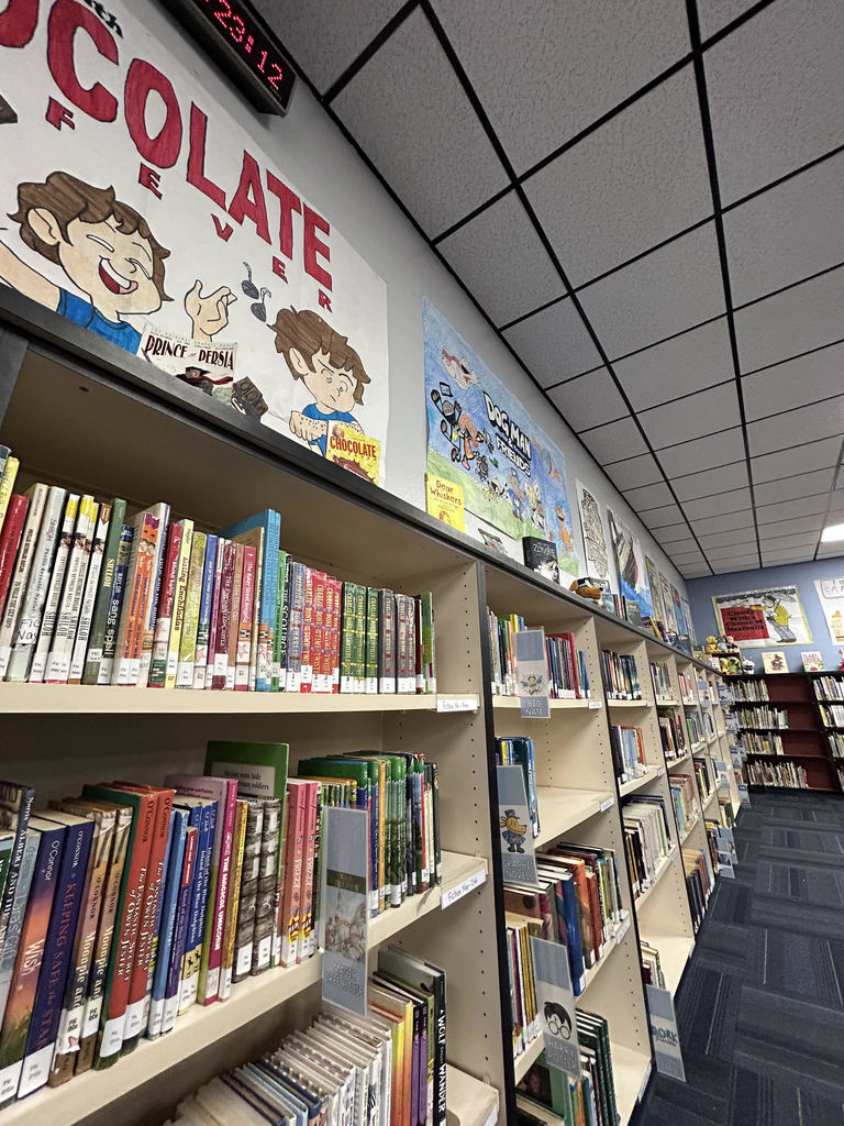 the library