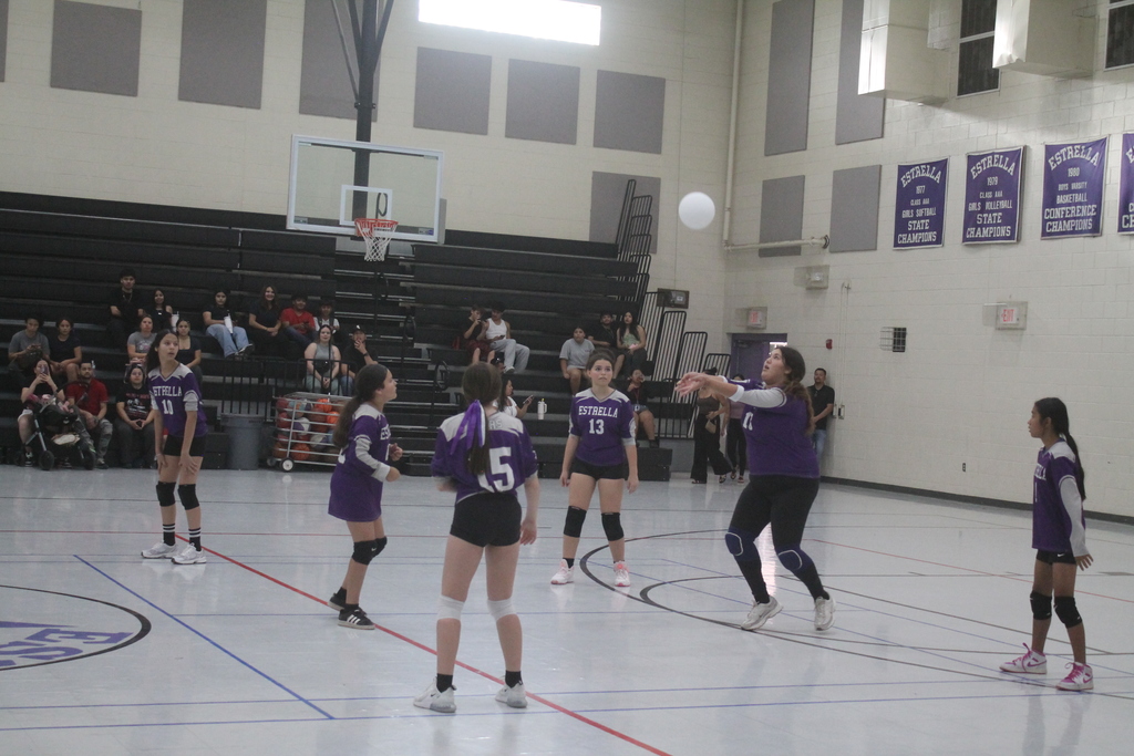 EMS vs Borman girls volleyball game