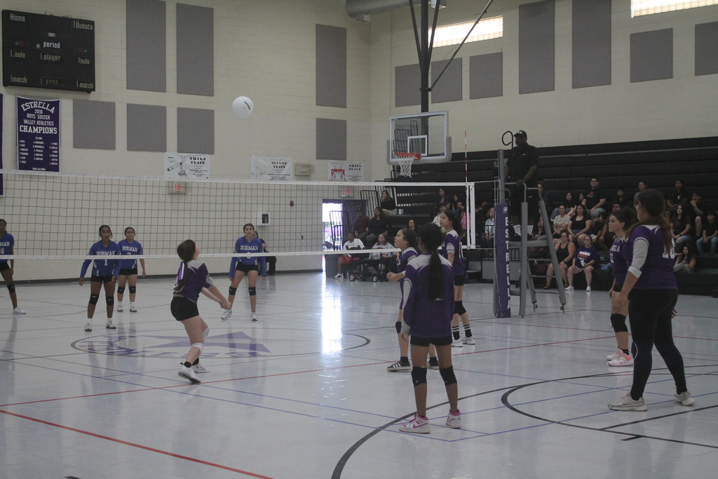 EMS vs Borman girls volleyball game