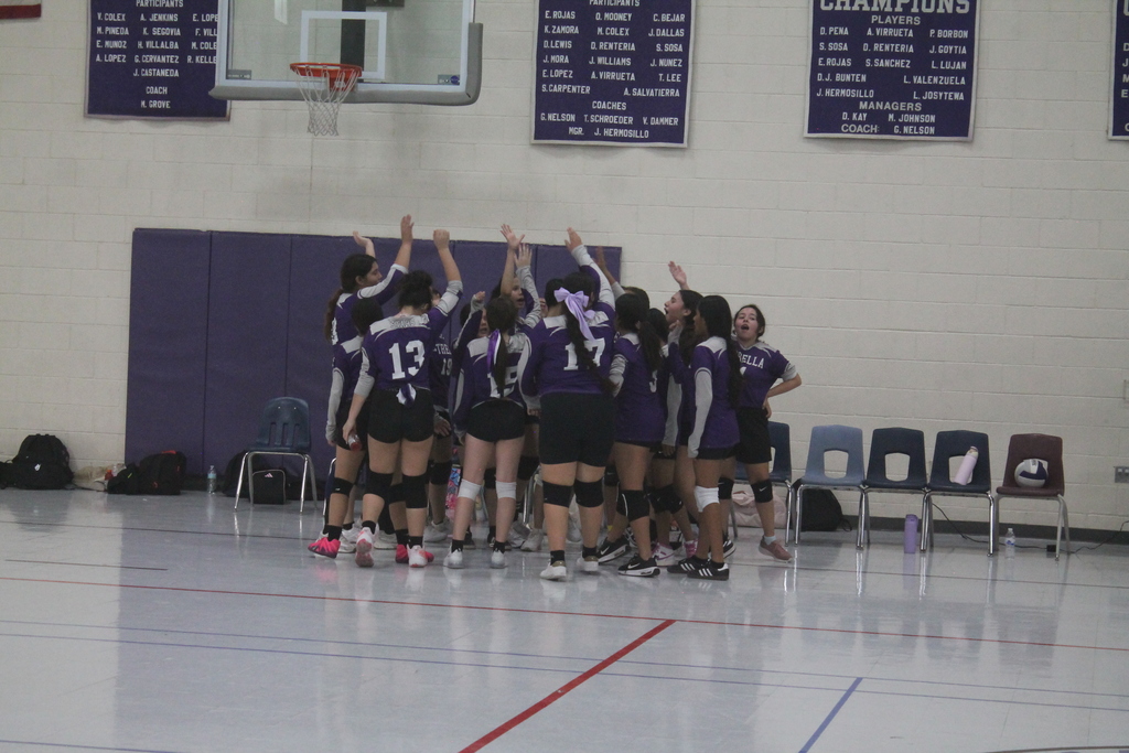 EMS vs Borman girls volleyball game