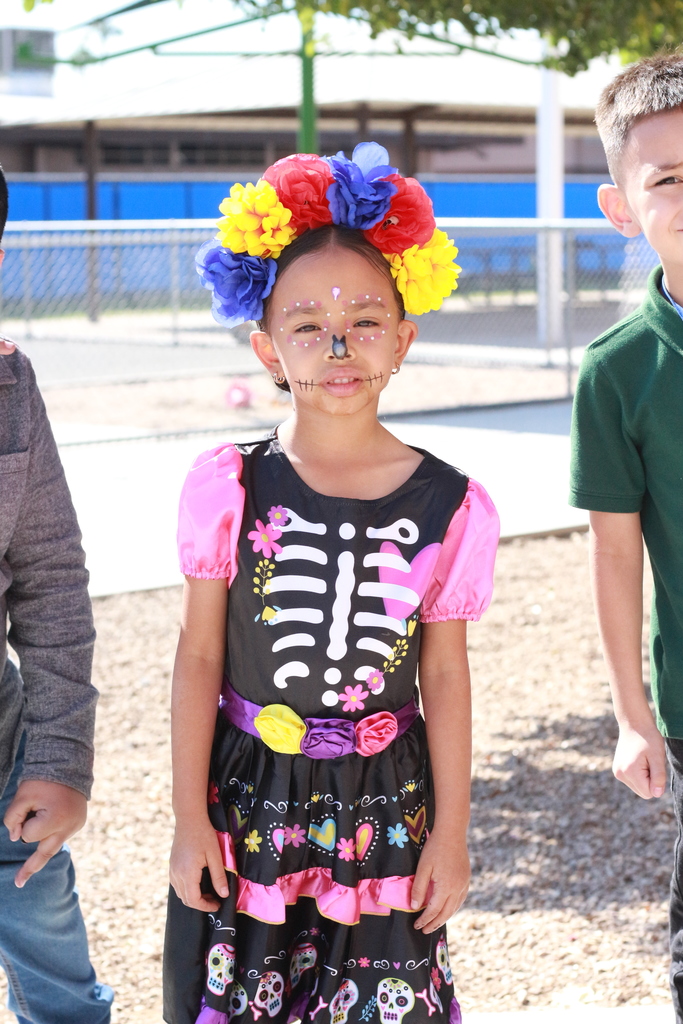 Sugar Skull Decoration