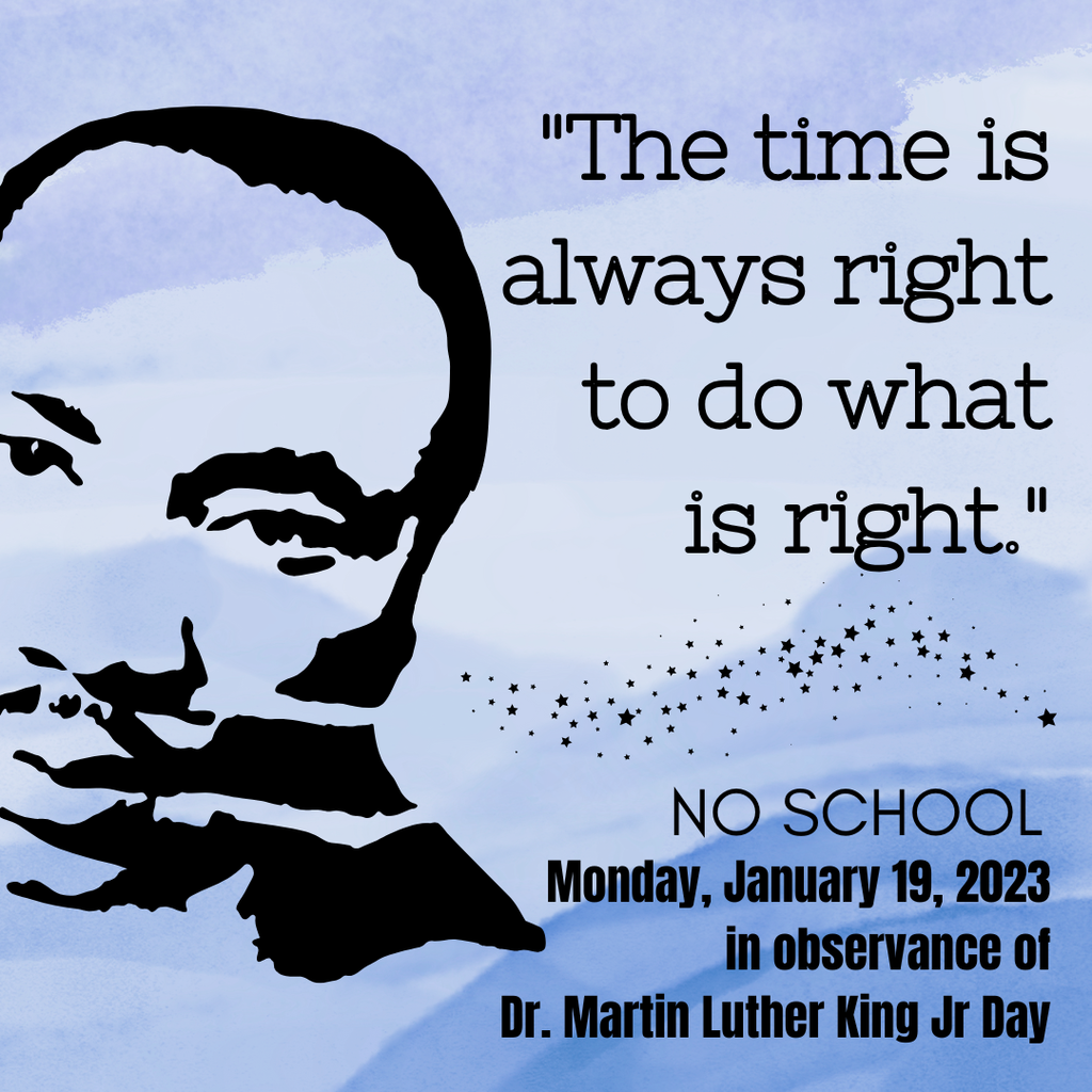 Martin Luther King Jr infographic