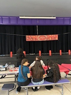 Chinese new year project