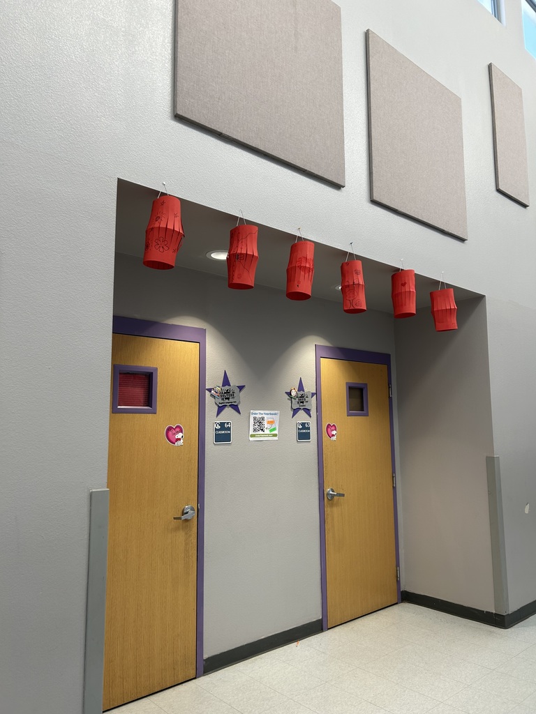 Chinese new year project