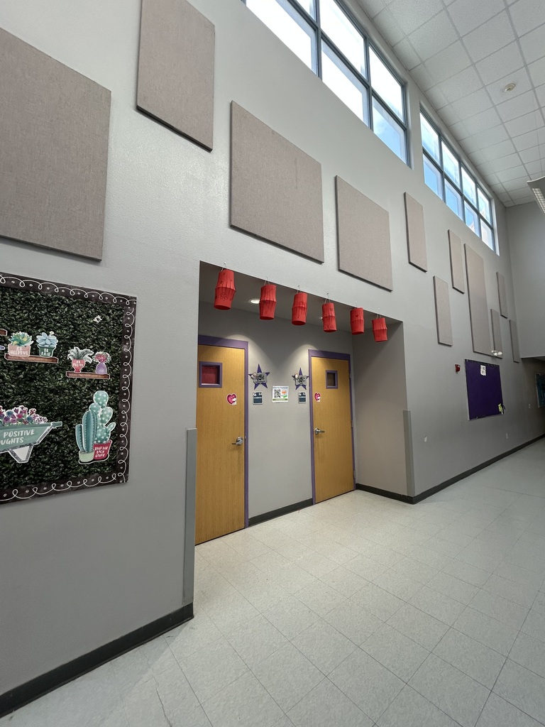 Chinese new year project