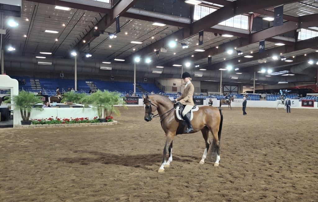Scottsdale Arabian Horse Show at Westworld.