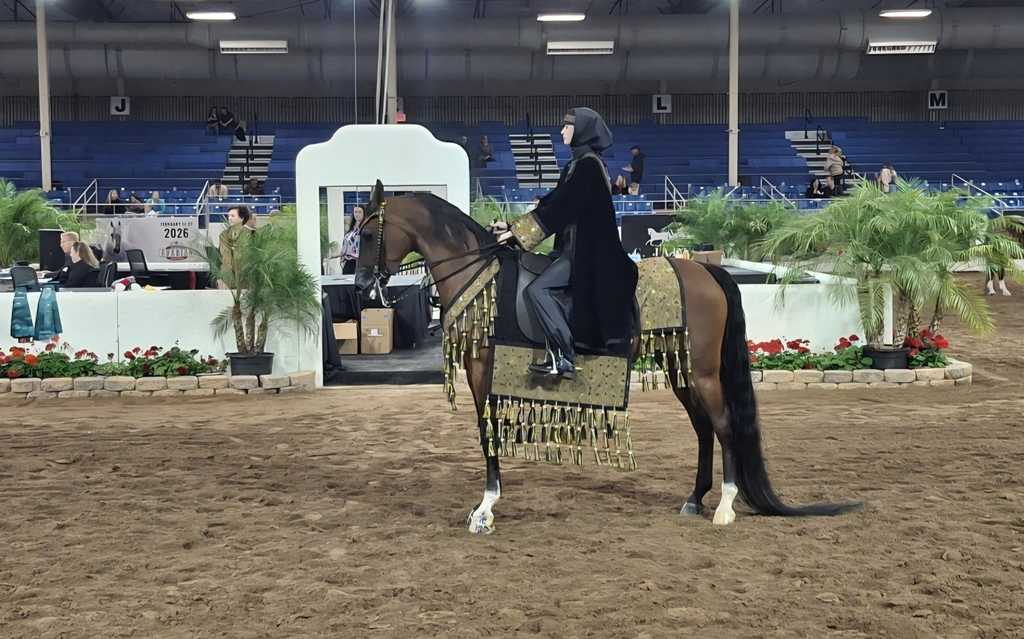 Scottsdale Arabian Horse Show at Westworld.