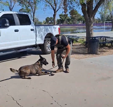 Students at EMS attend an AVID Career Fair