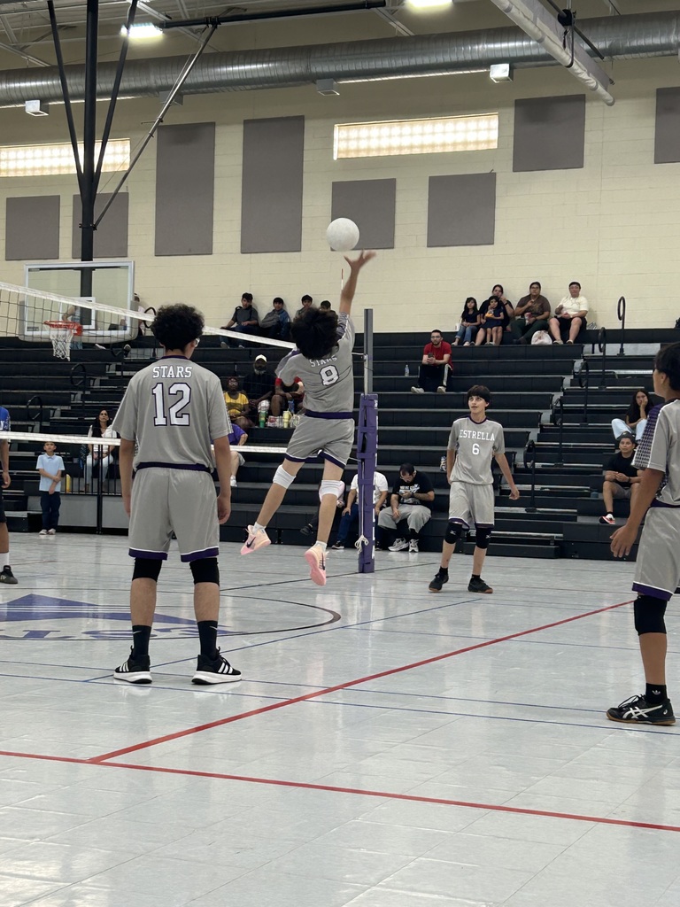 Boys volleyball plays