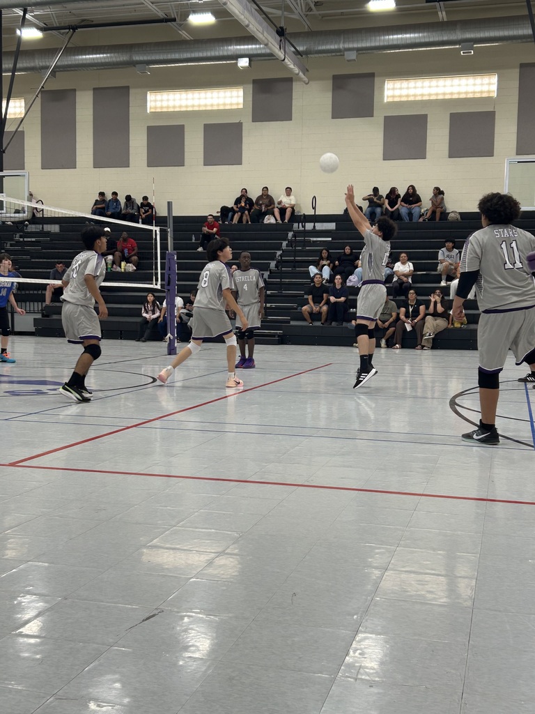 Boys volleyball plays