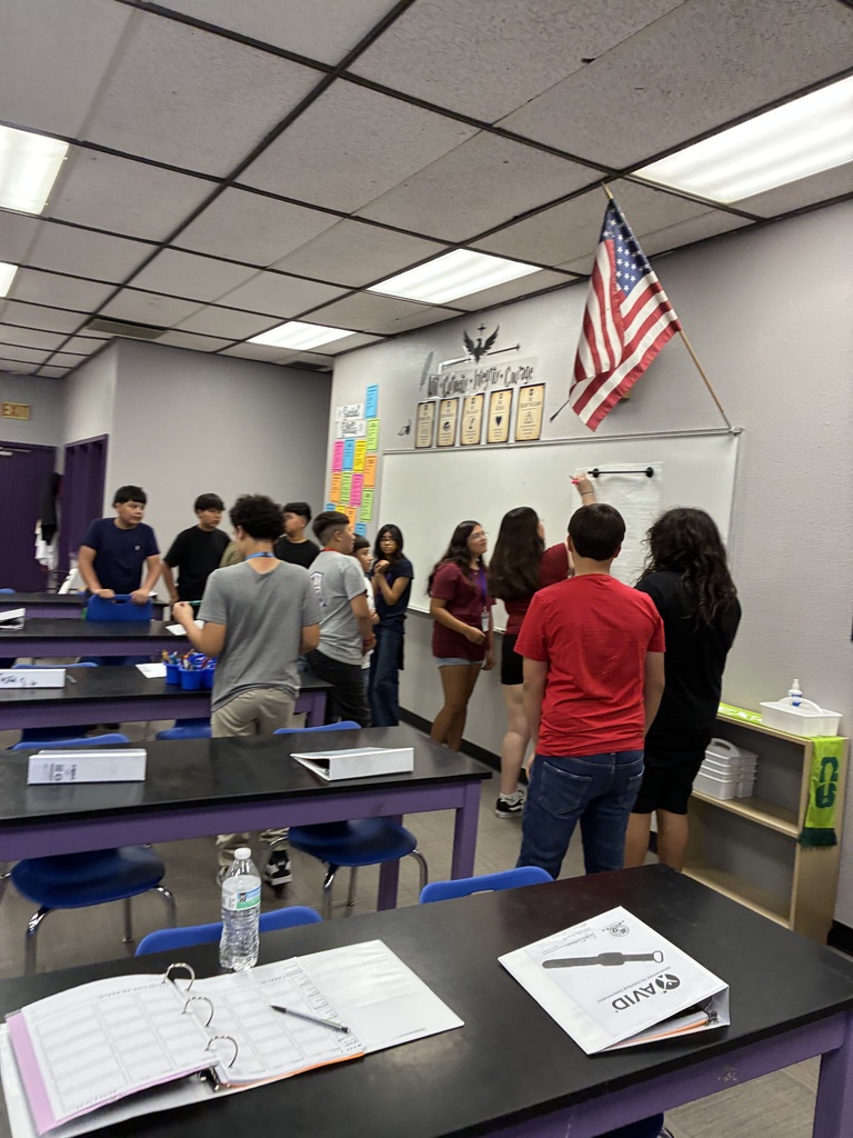 STEM COLLABORATION
