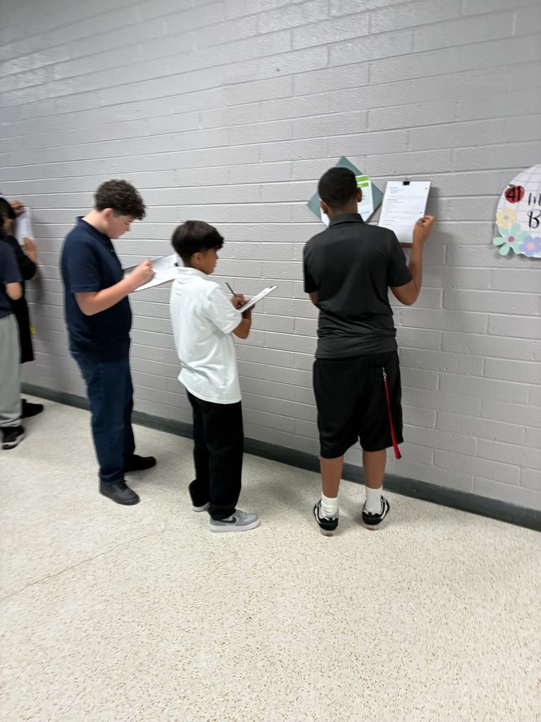 Gallery walk
