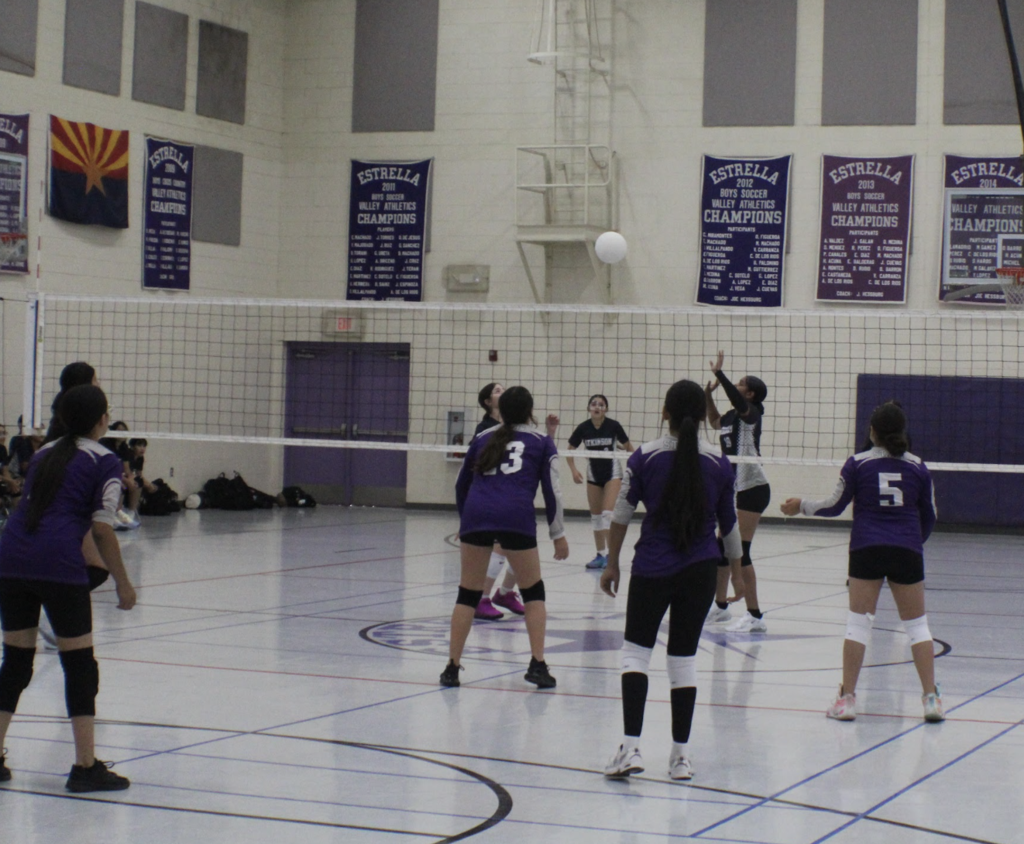 Girl volleyball