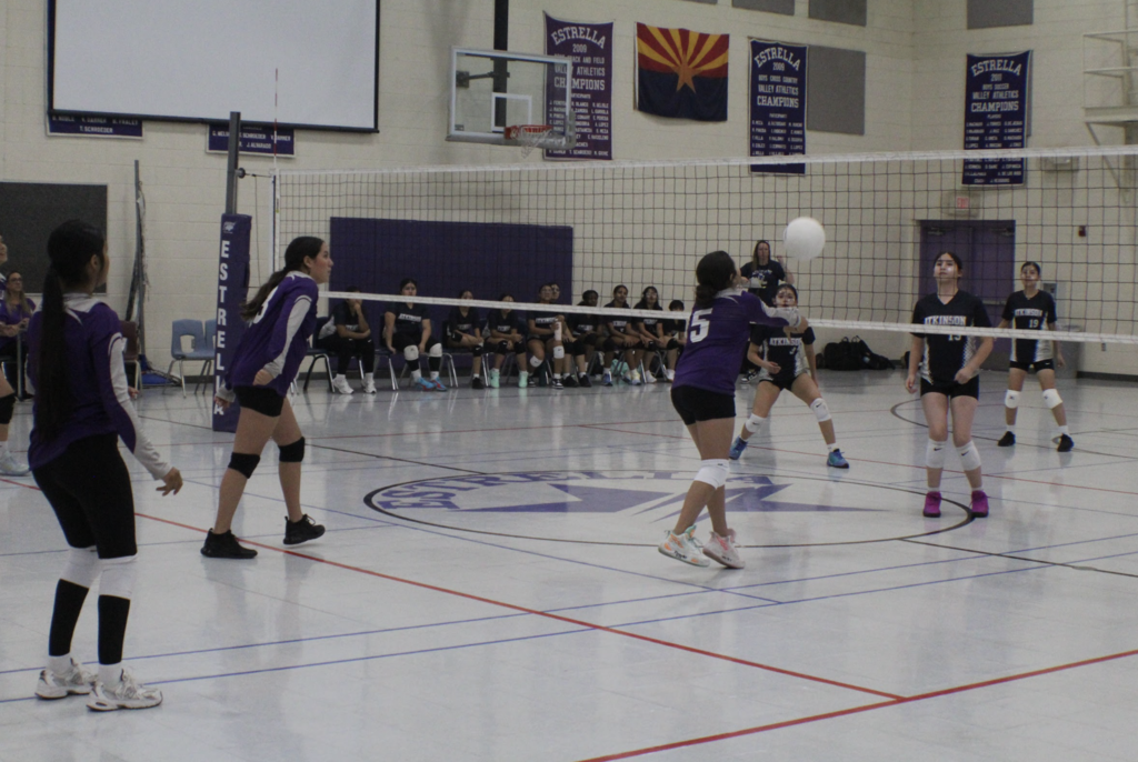 Girl volleyball